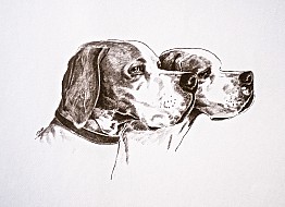 Due Pointer
