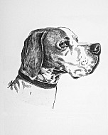 Pointer