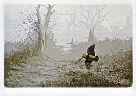 Beccaccia nella nebbia