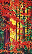 I colori del bosco