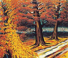 Bosco d'autunno