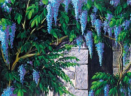 Glicini azzurri