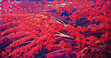 Fronde rosse 2