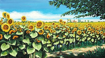 Girasoli in valle