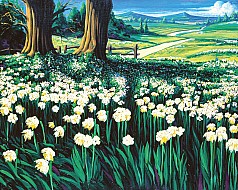 Narcisi