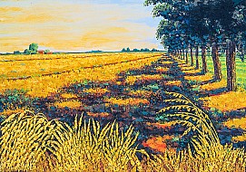 Campo di Grano